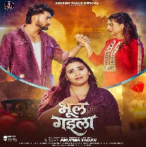 Tu Hamare Ke Bhul Gaila