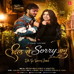 Dil Se Sorry Janu (Arvind Akela Kallu, Shilpi Raj)