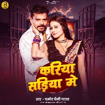 Ae Dhani Ho Kariya Tu Sariya Me Jahariya Lagelu