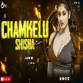 Chamkelu Sisa Jaisan Love Official Mix Dj Rj