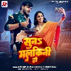 Dali Nimak Dalalu Sabji Me Chini Ho
