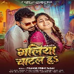 Galiya Katal Ha Ki Chatal Ha Ae Nanado