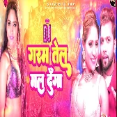 Garam Tel Mal Dunga (Remix) Dj Santosh Raj