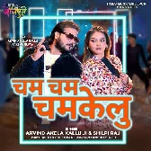 Gori Shisha Lekha Cham Cham Chamkelu
