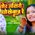 Tor Jatiye Dhokhebaj Re