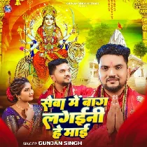 Seva Me Baag Lagaini He Mai